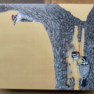 notecard-woodpeckers-oak