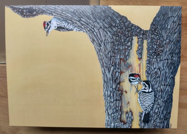 notecard-woodpeckers-oak